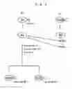 Fig. 04 - Amphidiploid Aquatic Animal and Method of Breeding the Same