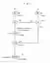 Fig. 05 - Amphidiploid Aquatic Animal and Method of Breeding the Same