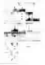 Fig. 08 - Amphidiploid Aquatic Animal and Method of Breeding the Same