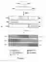 Fig. 02 - Transgenic Plants Expressing Intein Modified Proteins and Associated Processes for Bio-Pharmaceutical Production