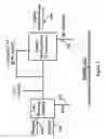 Fig. 02 - System and process for producing synthetic liquid hydrocarbon