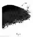 Fig. 06 - Equipment air filter assembly