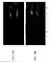 Fig. 07 - Localized arc filament plasma actuators for noise mitigation and mixing enhancement