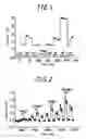 Fig. 02 - Method for Detecting Conformational Change of Calmodulin, a Method for Screening a Substance Having an Activity that Affects to Conformational Change of Calmodulin