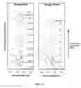 Fig. 09 - Flow method and reactor for manufacturing nanocrystals