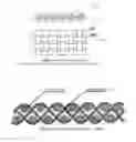 Fig. 07 - Composite conveying belt
