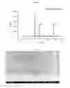 Fig. 04 - Preparation method of palladium alloy composite membrane for hydrogen separation