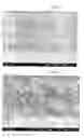 Fig. 06 - Preparation method of palladium alloy composite membrane for hydrogen separation