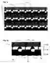 Fig. 02 - Electrode for electrolytic cell