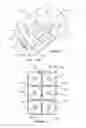 Fig. 02 - Carton For Bottles