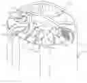 Fig. 01 - Positioning structure for golf clubs