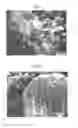 Fig. 04 - PRODUCTION OF LOWER MOLECULAR WEIGHT HYDROCARBONS