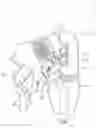 Fig. 01 - Compound spray gun
