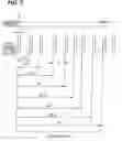 Fig. 07 - Machine for inspecting glass containers at an inspection station using an addition of a plurality of illuminations of reflected light