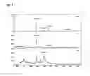 Fig. 05 - Sample plate for glycoprotein analysis by MALDI mass spectrometry and preparation method of the same