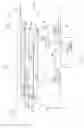 Fig. 02 - Device for moving a runner