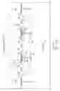 Fig. 197 - Modular bipolar-CMOS-DMOS analog integrated circuit and power transistor technology