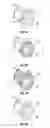 Fig. 06 - Non-opaque external parking aid sensor bezels