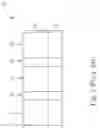 Fig. 03 - Display panel