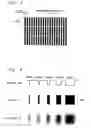 Fig. 04 - Image forming apparatus