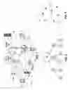 Fig. 02 - Topological approach for improving network and system utilization in a non-uniform network