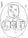Fig. 03 - Media broadcasts from wireless access point