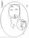 Fig. 04 - Media broadcasts from wireless access point