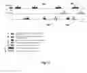 Fig. 11 - Efficient resource utilization with interlace and/or interlace offset switching