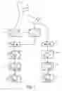 Fig. 02 - Positioning and orienting a unit of a hearing device relative to individual's head