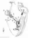 Fig. 02 - Method for manufacturing a fastening portion for a steering apparatus