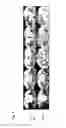 Fig. 07 - Imaging Cellular Nucleic Acids