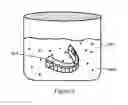 Fig. 06 - Dental Appliance Cleaners and Methods for Making and Using Them