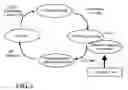 Fig. 05 - Process to carry out a cellular cardiomyoplasty