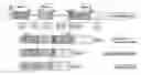 Fig. 01 - Myostatin Isoform