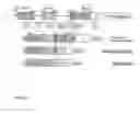 Fig. 02 - Myostatin Isoform