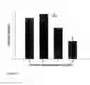 Fig. 07 - Myostatin Isoform