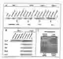 Fig. 02 - GENE EXPRESSION ASSOCIATED WITH OSTEOBLAST DIFFERENTIATION