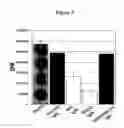 Fig. 06 - Naturally occuring IgM antibodies that bind lymphocytes