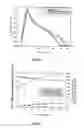 Fig. 02 - Means for Improving Fermenting Capacities of Active Yeasts and Uses Thereof