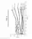 Fig. 09 - POLYETHYLENE USEFUL FOR PRODUCING FILM AND MOLDED ARTICLES IN A PROCESS WHICH USES SOLID STATE STRETCHING