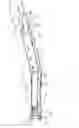 Fig. 06 - ELECTRIC DENTAL HANDPIECE AND CONTROL SYSTEM