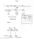 Fig. 08 - Flap endonuclease mutants