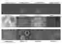 Fig. 01 - Sequential analysis of biological samples