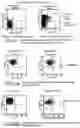 Fig. 02 - Process to cary out a cellular cardiomyoplasty