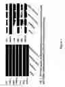 Fig. 02 - Estrogen Enhancing Differentiation of Human Mesenchymal Stromal Cells and Adipose-derived Stromal Cells