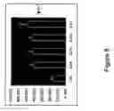 Fig. 09 - Estrogen Enhancing Differentiation of Human Mesenchymal Stromal Cells and Adipose-derived Stromal Cells