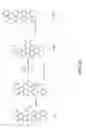 Fig. 14 - Tagged petroleum products and methods of detecting same