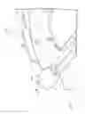 Fig. 09 - Air distribution apparatus