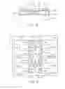Fig. 09 - Ultra-fast nucleic acid sequencing device and a method for making and using the same