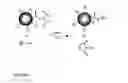 Fig. 02 - Biofunctional materials